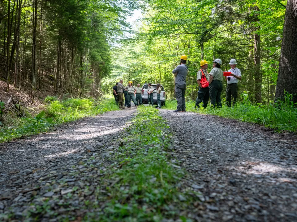 A road in the forest with people in the distance.