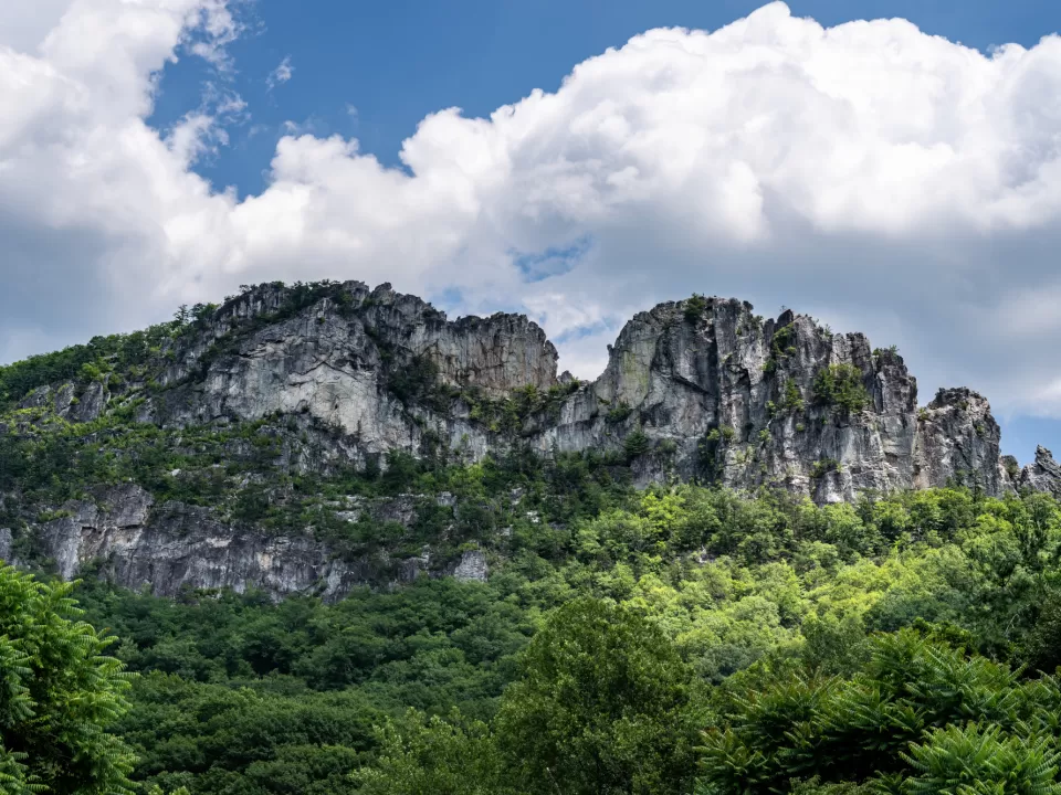 A picture containing outdoor, sky, tree, nature.