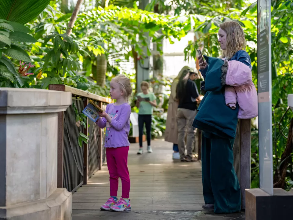 People looking at plants.