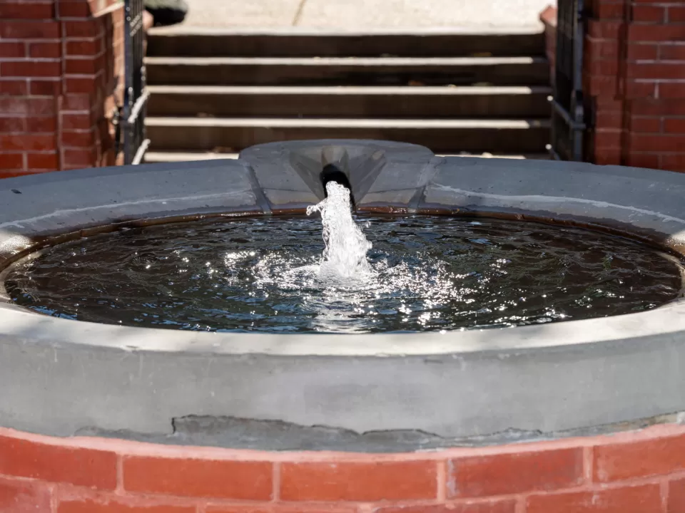 Water fountain.
