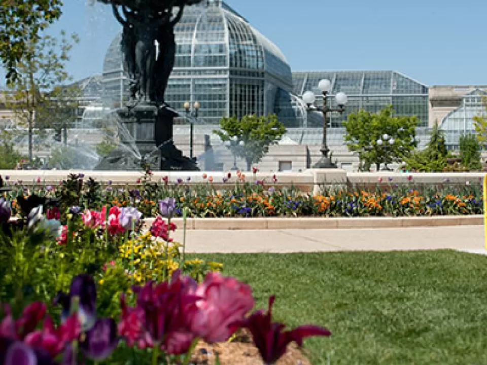 Spring flowers in USBG's Bartholdi Park.