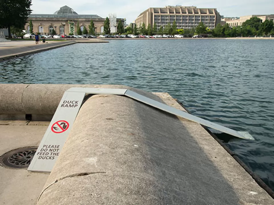 Duck ramps installed at the Capitol Reflecting Pool (Union Square) in Washington, D.C.