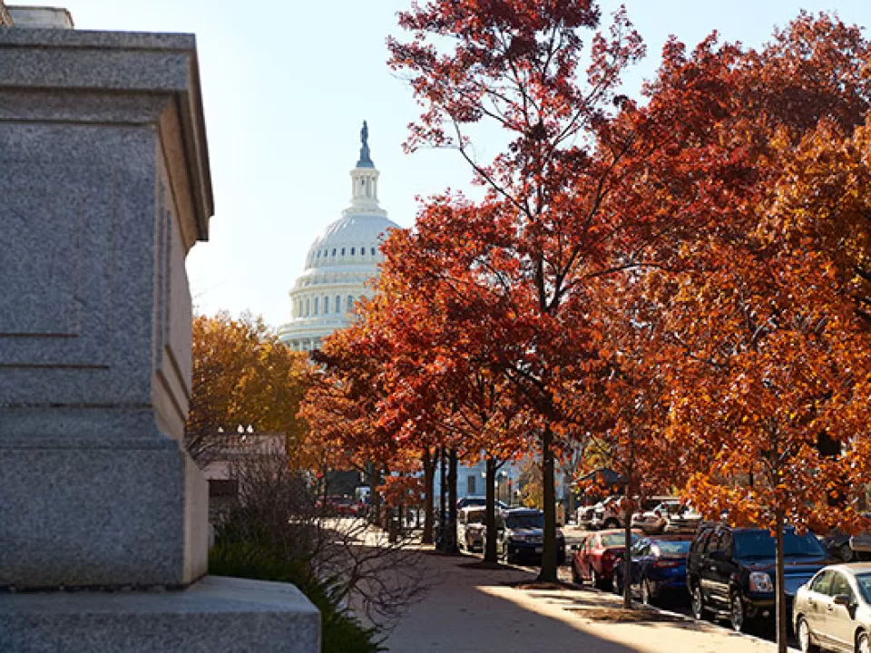 Height of the autumn season on the U.S. Capitol campus.