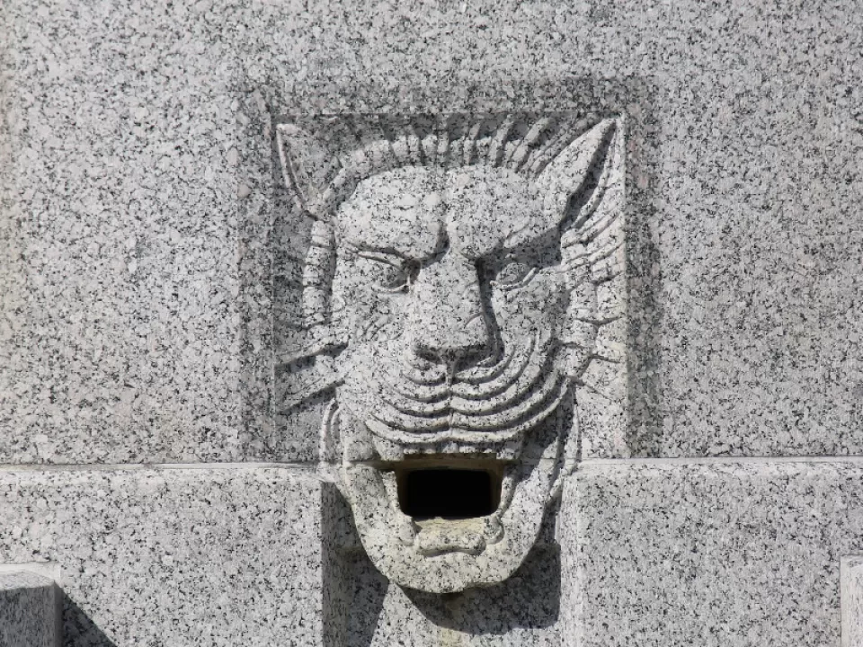 Lion-head spout on the Senate Fountain