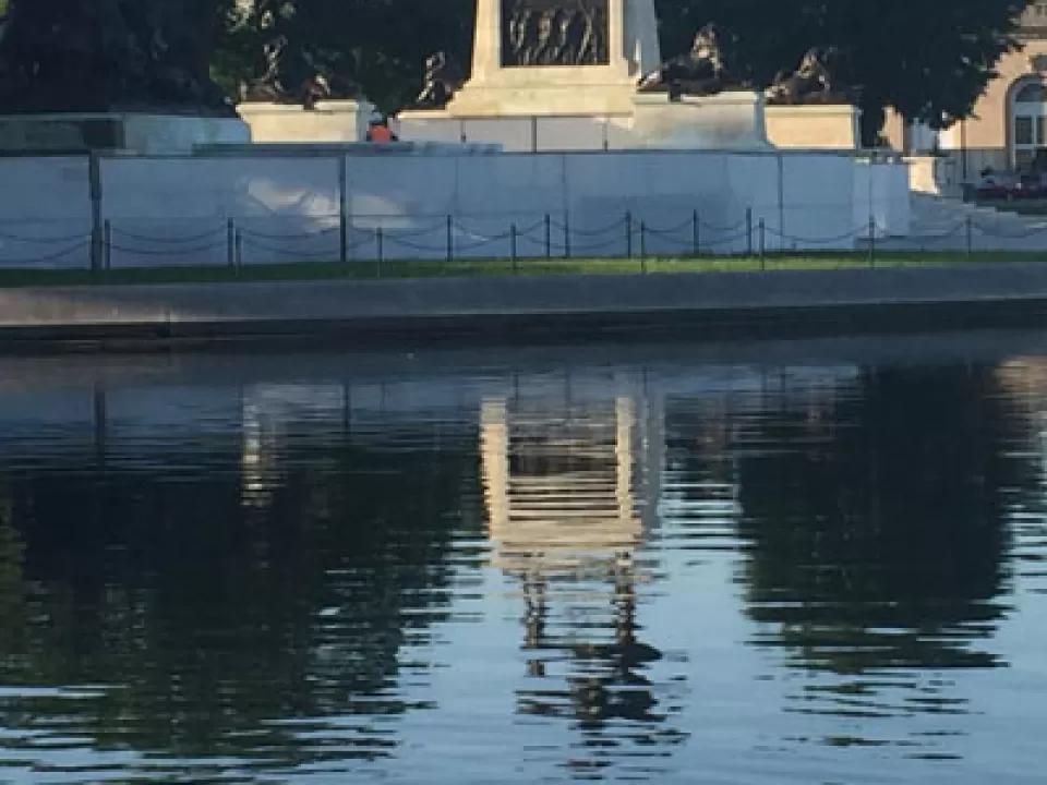 Ducklings swim in the Capitol Reflecting Pool with the Grant Memorial seen in the background.