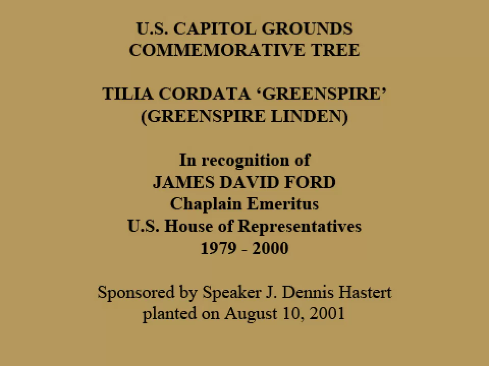 U.S. Capitol Grounds Commemorative Tree  Tilia cordata ‘greenspire’ (Greenspire Linden)  In recognition of JAMES DAVID FORD Chaplain Emeritus U.S. House of Representatives 1979 - 2000  Sponsored by Speaker J. Dennis Hastert planted on August 10, 2001