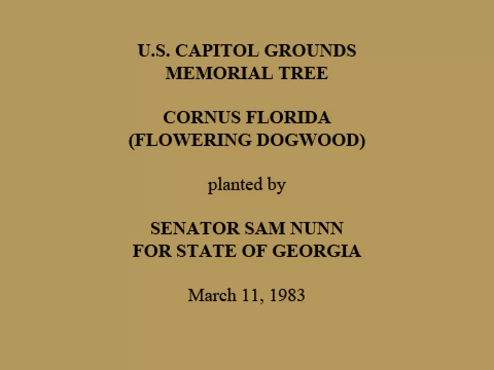 U.S. Capitol Grounds Memorial Tree  Cornus florida (Flowering Dogwood)  planted by  Senator Sam Nunn For State of Georgia  March 11, 1983