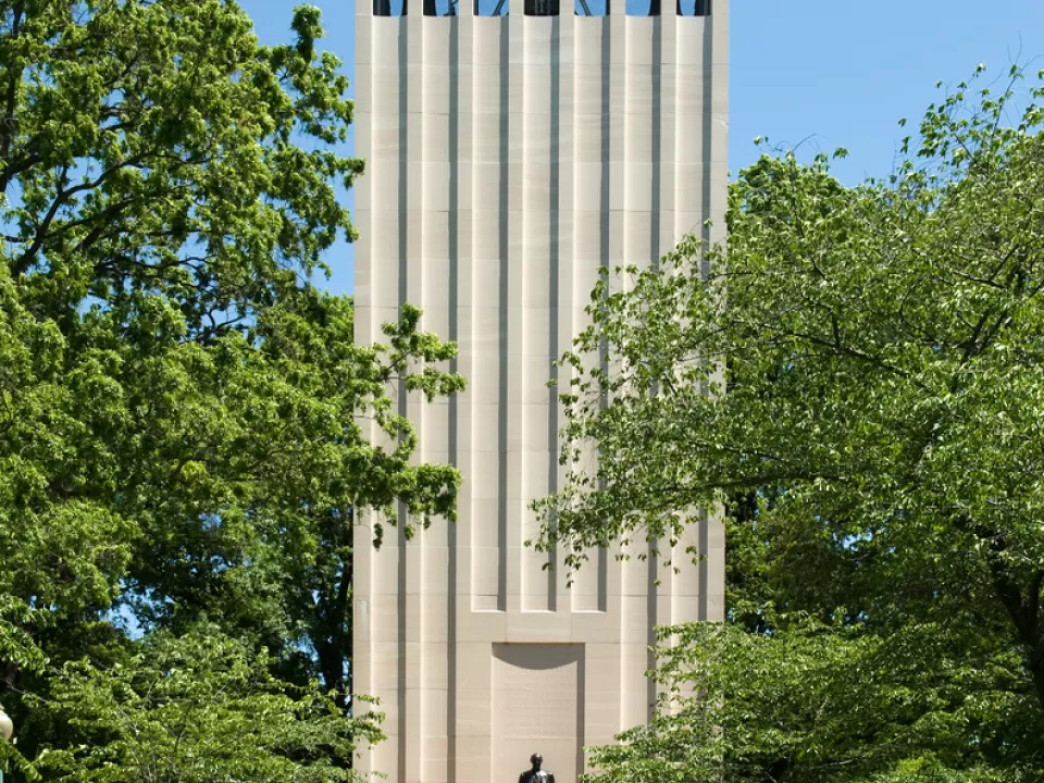 Tall structure surrounded by trees.