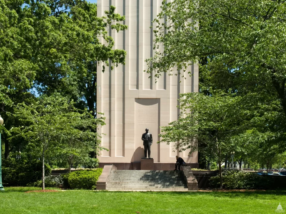 Tall structure surrounded by trees.