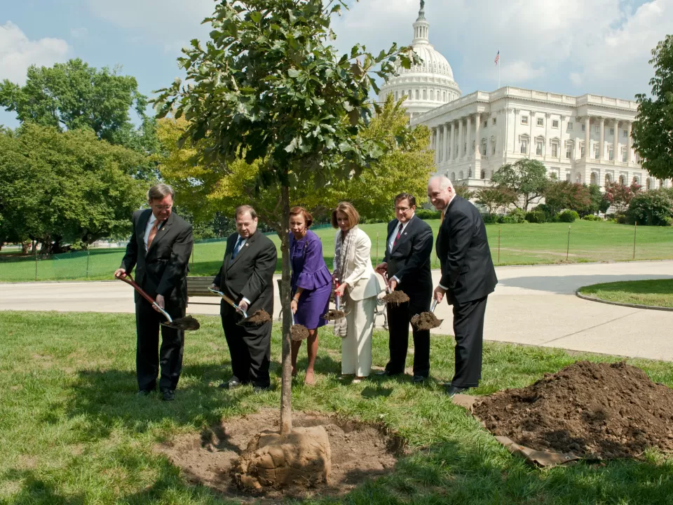 Tree planting ceremony for the 9/11 Anniversary tree.