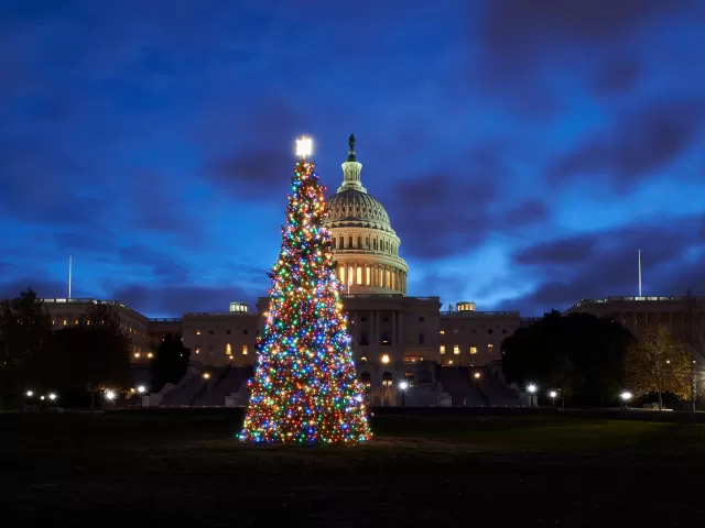 The 2019 U.S. Capitol Christmas Tree with lights on.