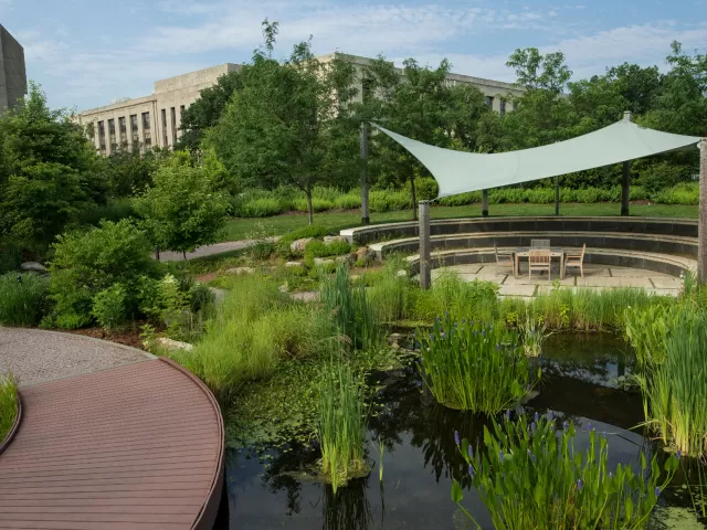 Walkway in National Garden
