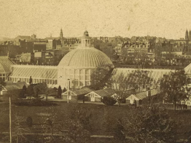 This 1873 photograph shows how the USBG's first Conservatory had grown from a single Victorian greenhouse to this large, five-part Conservatory with 14 support greenhouses.