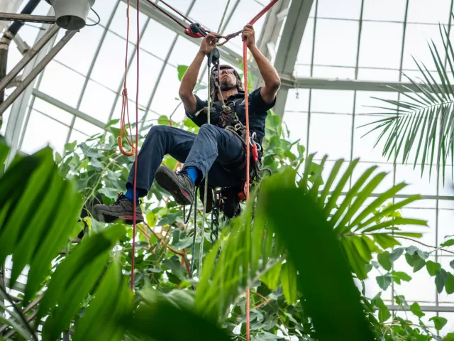 USBG Arborist Shaun Abell, who helped install the new, higher fogger system, at the top of the Tropics house.