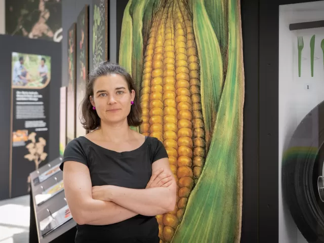 Cultivating a New Agriculture Exhibit at the U.S. Botanic Garden