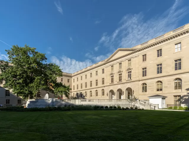 A tree and building with blue sky.