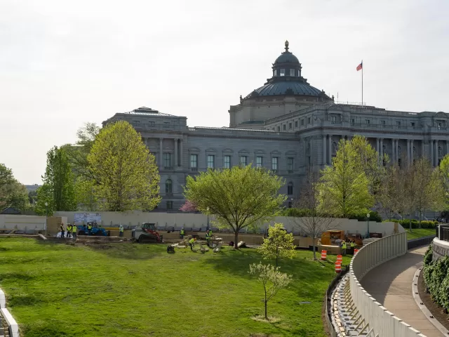 View of grass and trees with a building in the background.