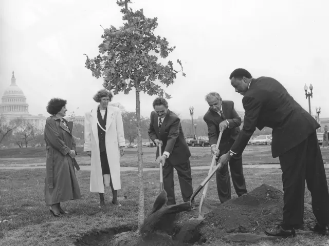 People holding shovels around a tree.