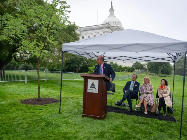 People sitting under a tent.