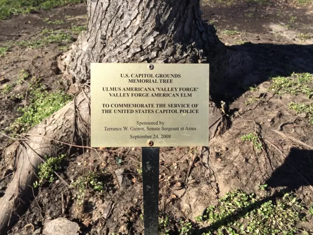 Photo of plaque.