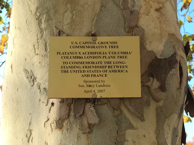 Photo of plaque.