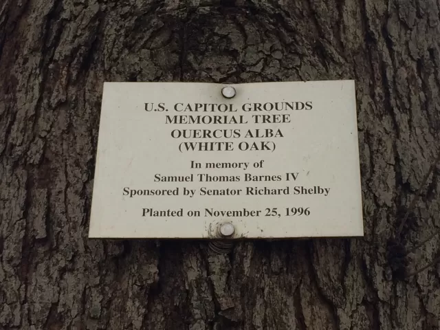 Photo of plaque.
