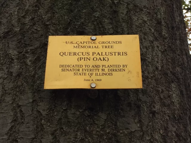 Photo of plaque.