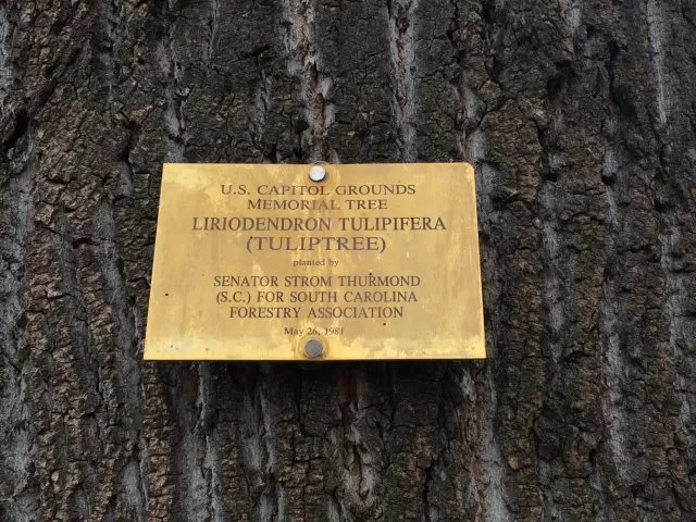 Photo of plaque.