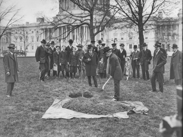 Person holding a shovel near a tree. Crowd and Capitol Dome in the background.