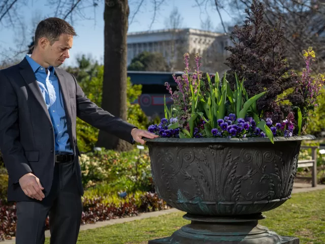 Person standing facing a plant.