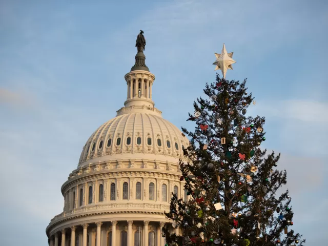 Capitol Dome, blue sky and Christmas tree.