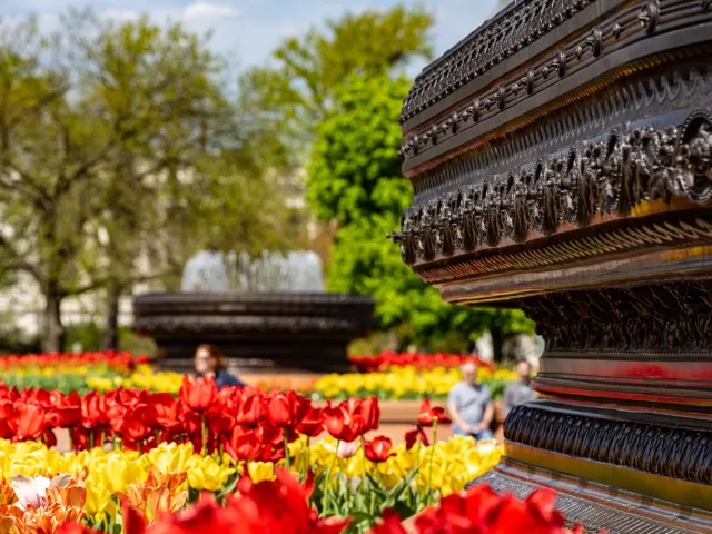 Tulips and bronze fountains.