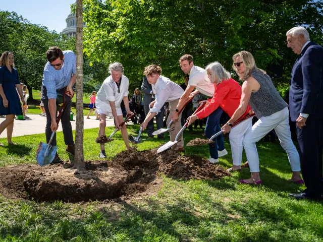 People planting a tree.