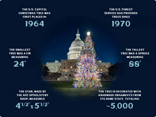 INFOGRAPHIC: The U.S. Capitol Christmas tree was first placed in 1964; the U.S. Forest service has provided trees since 1970; the smallest tree was a fir measuring 24'; the tallest tree was a spruce measuring 88'; the star, made by the AOC Upholstery Shop, measures 4’ 1/2” x 5’ 1/2”; the tree is decorated with handmade ornaments from its home state, totaling ~5,000.