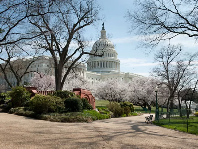 View of the U.S. Capitol and Summerhouse from the West Front.