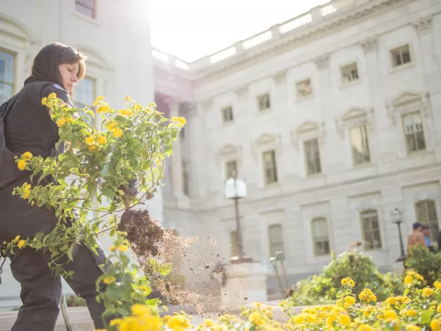 Preparation for spring on Capitol grounds.