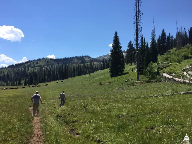 Two people walking outside.