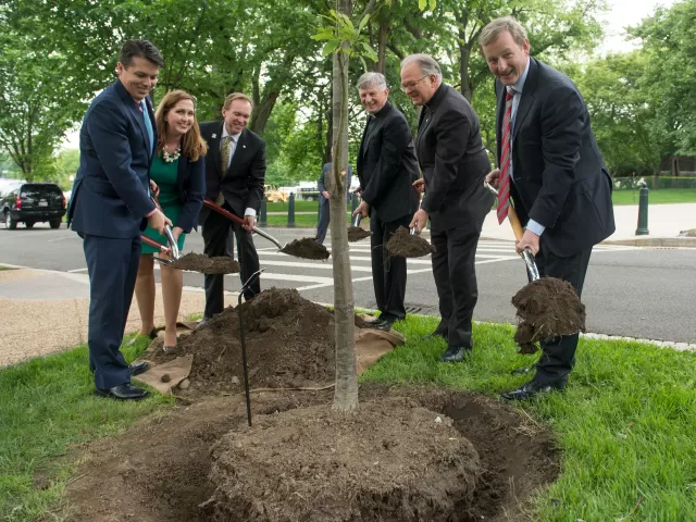 Planting of the 100th Anniversary of Ireland's 1916 Easter Rising Tree on May 18, 2016.