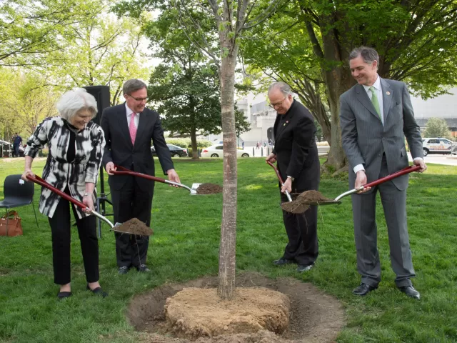 People standing holding shovels around a tree.