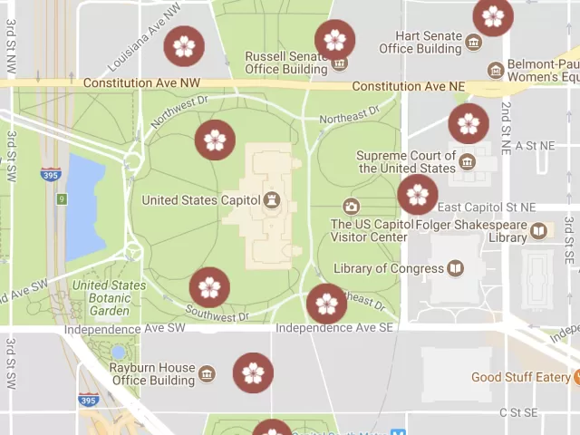 Map of cherry tree groups found on the U.S. Capitol campus.