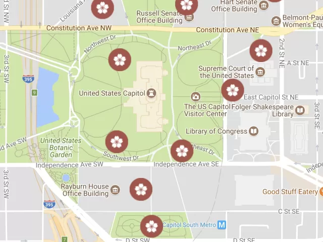 Map of cherry tree groups found on the U.S. Capitol campus.