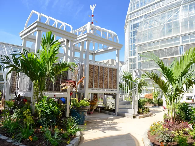 Updated Children's Garden opens at U.S. Botanic Garden.