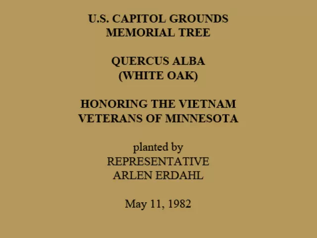 U.S. Capitol Grounds Memorial Tree  Quercus alba (White Oak)  Honoring the Vietnam Veterans of Minnesota  planted by Representative Arlen Erdahl  May 11, 1982