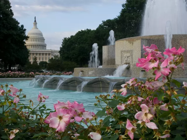 Building and fountain.