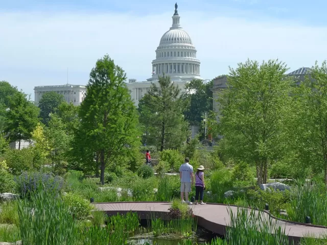 Visitors in the USBG National Garden with a view of the Conservatory and U.S. Capitol.