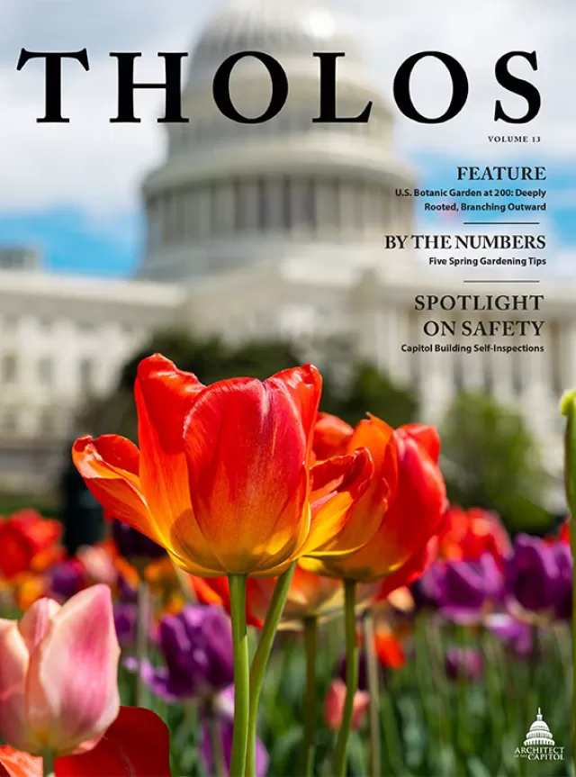Tholos Magazine  Architect of the Capitol