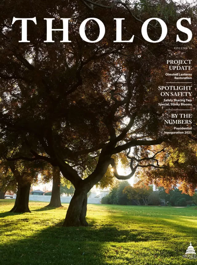 Tholos Magazine, Volume 16.
