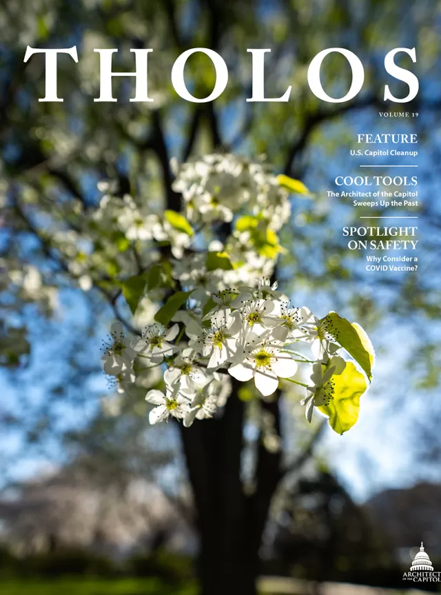 Cover of Tholos Magazine, Volume 19.