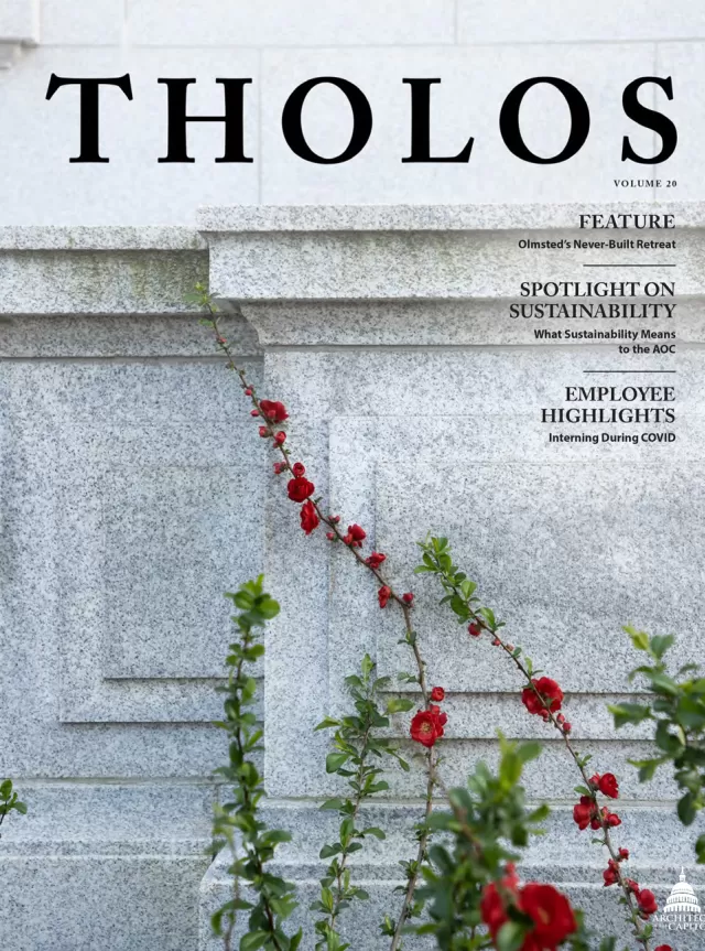Cover of Tholos Magazine, Volume 20.