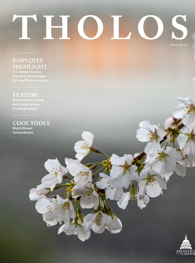 Tholos Magazine, Volume 22, cover.